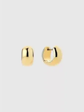Ana Luisa Giulia: aros de oro llamativos