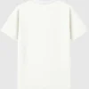 Camiseta con diseño vintage de los Fighting Illini de la Universidad de Illinois