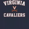 Camiseta con el gráfico «Campus Classic» de la Universidad de Virginia