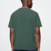Camiseta con estampado de los Green Bay Packers de la NFL para adulto