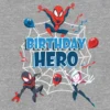 Camiseta con estampado «Spiderman Birthday Hero» para niños pequeños
