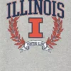 Camiseta con gráfico oscuro «Laurels» de la Universidad de Illinois
