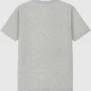 Camiseta con gráfico oscuro «Laurels» de la Universidad de Illinois