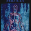 Camiseta corta con estampado de Nirvana de tejido grueso