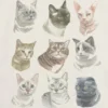 Camiseta infantil con estampado de caras de gato