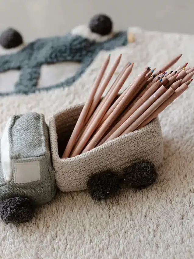 Juego de cestas de juego con forma de camioneta de Lorena Canals