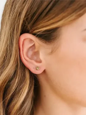Pendientes de rosca con flor clásica pequeña de Pierced Co
