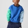 Sudadera «Colorblock» de Vintagesoft para Bebé y Niño