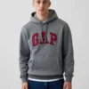 Sudadera con capucha para adulto Vintagesoft Arch Logo