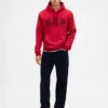 Sudadera con capucha para adulto Vintagesoft Arch Logo