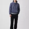 Sudadera con capucha para adulto Vintagesoft Arch Logo