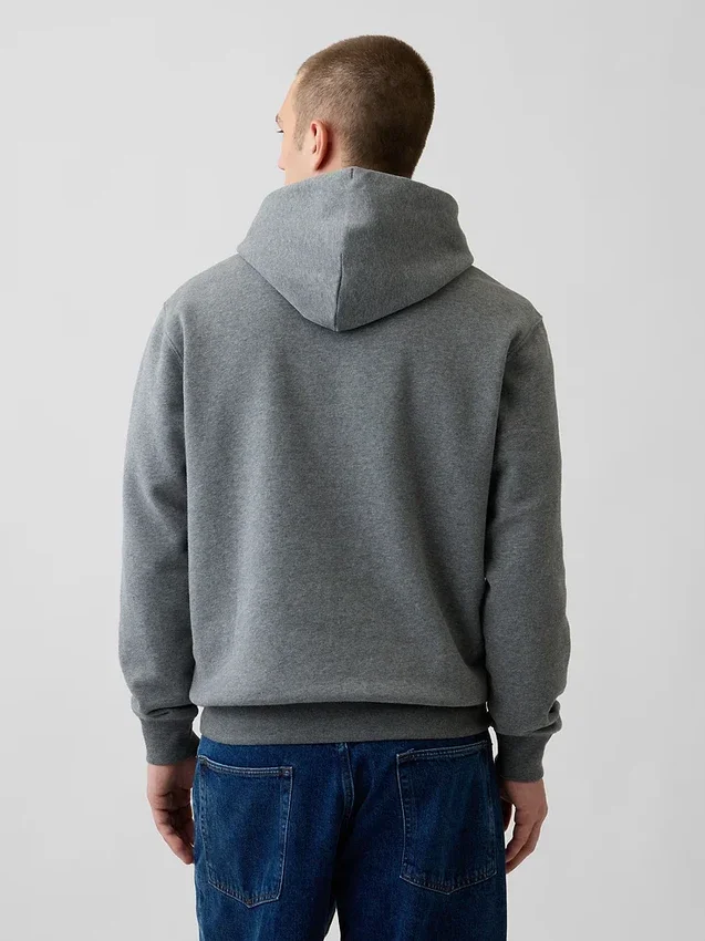 Sudadera con capucha para adulto Vintagesoft Arch Logo