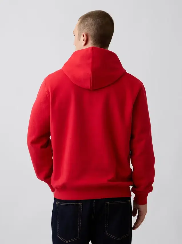 Sudadera con capucha para adulto Vintagesoft Arch Logo