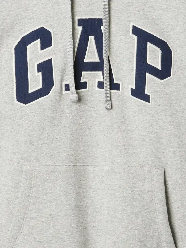 Sudadera con capucha para adulto Vintagesoft Arch Logo