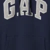 Sudadera con capucha para adulto Vintagesoft Arch Logo
