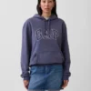 Sudadera con capucha para adulto Vintagesoft Arch Logo