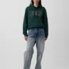Sudadera con capucha para adulto Vintagesoft Arch Logo