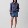 Sudadera con capucha para adulto Vintagesoft Arch Logo