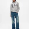 Sudadera con capucha para adulto Vintagesoft Arch Logo