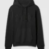 Sudadera con capucha para adulto Vintagesoft Arch Logo