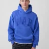 Sudadera con capucha para adulto Vintagesoft con logotipo en felpa