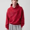 Sudadera con capucha para adulto Vintagesoft con logotipo en felpa