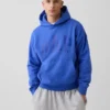 Sudadera con capucha para adulto Vintagesoft con logotipo en felpa