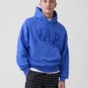 Sudadera con capucha para adulto Vintagesoft con logotipo en felpa