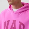Sudadera con capucha para adulto Vintagesoft con logotipo en felpa