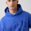 Sudadera con capucha para adulto Vintagesoft con logotipo en felpa