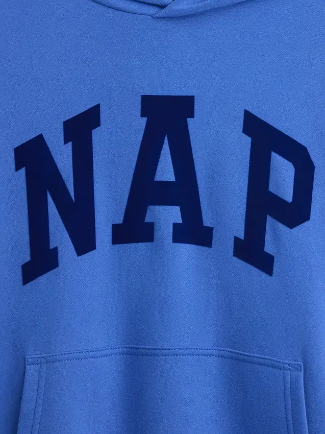 Sudadera con capucha para adulto Vintagesoft con logotipo en felpa