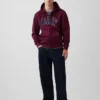 Sudadera con capucha y cremallera para adulto «Vintagesoft Arch Logo»